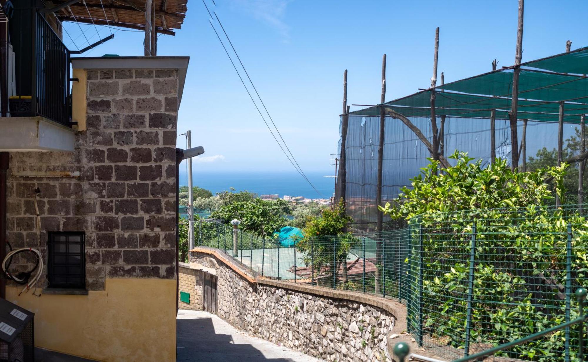 Апартаменты Antica Residenza La Vela Мета Номер фото